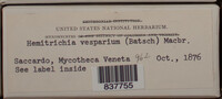 Image Associated With the Occurence